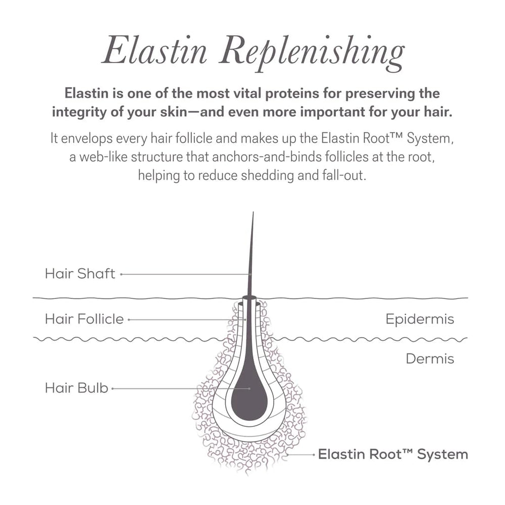 NULASTIN Scalp Serum daily-use ritual for consistent nourishment