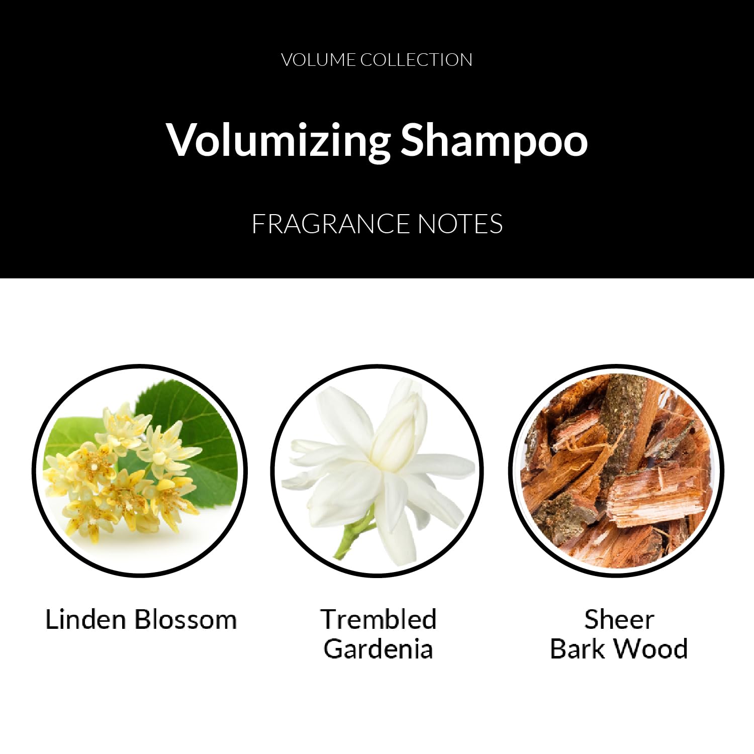 Number 4 Hair Shampoo for fine hair highlights gentle volume boost.