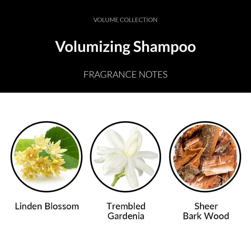 Number 4 Hair Shampoo for fine hair highlights gentle volume boost.