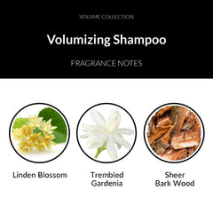 Number 4 Hair Shampoo for fine hair highlights gentle volume boost.