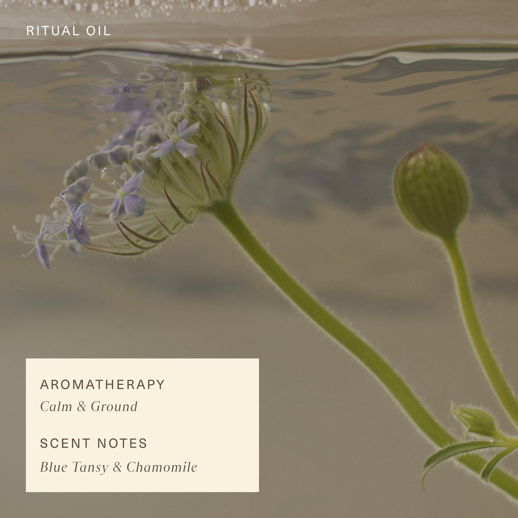 Oak Essentials Blue Tansy aromatherapy view evokes spa-like calm for routines.