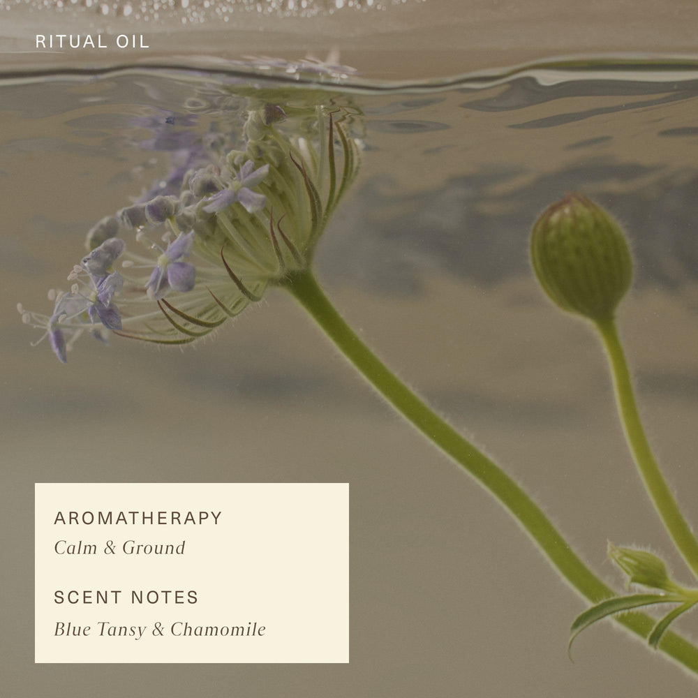 Oak Essentials Blue Tansy aromatherapy view evokes spa-like calm for routines.