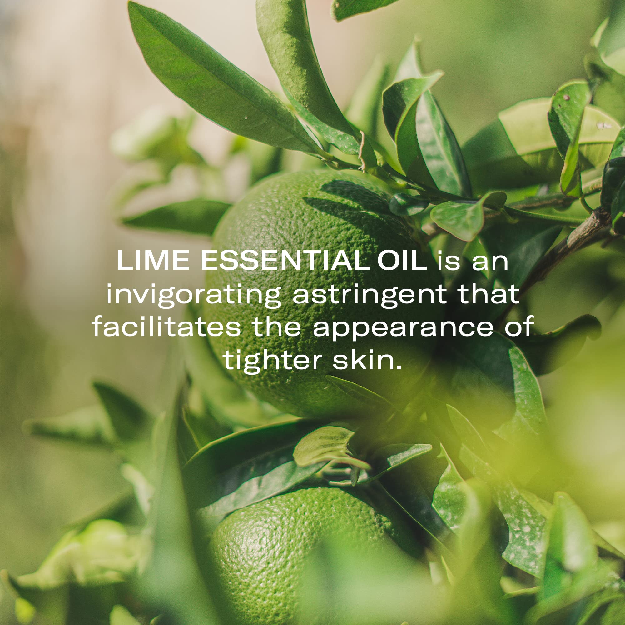 Vitamin C and beta-carotene rich oil closeup for a radiant look.