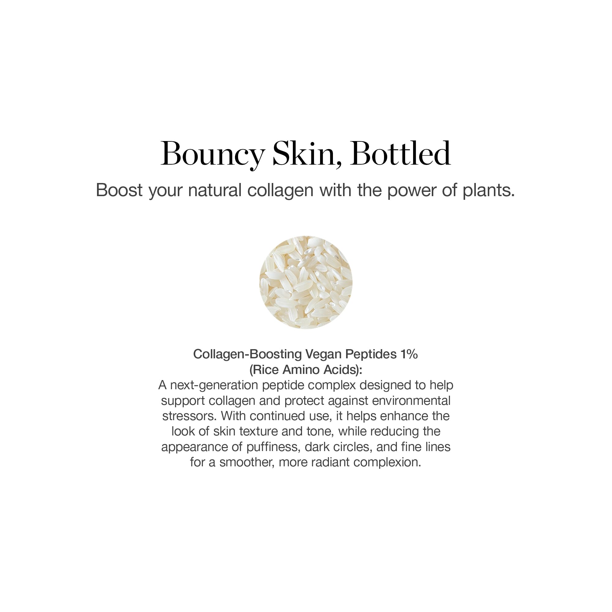Ogee skincare lineup packaging highlighting vegan organic ethos