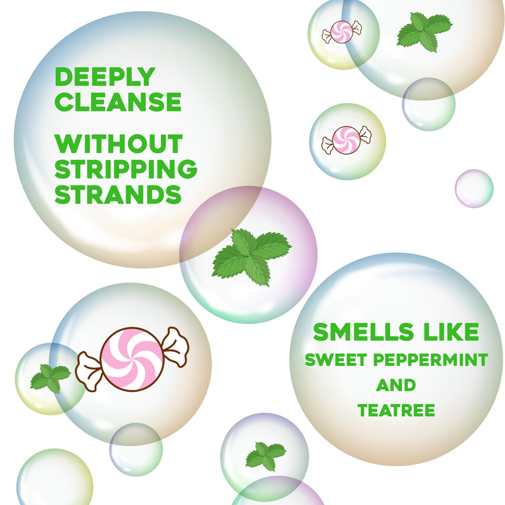 OGX Peppermint Vanilla Tea Tree fragrance close-up for a refreshing ritual.