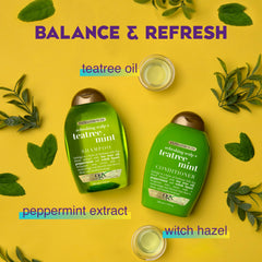 OGX Witch hazel blend on label signaling natural scalp cleansing properties.
