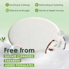 Oiangna Tea Tree oil close-up highlighting natural scent and soothing notes