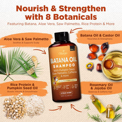 Okaga Batana Oil Shampoo ingredients scene with nourishing oils