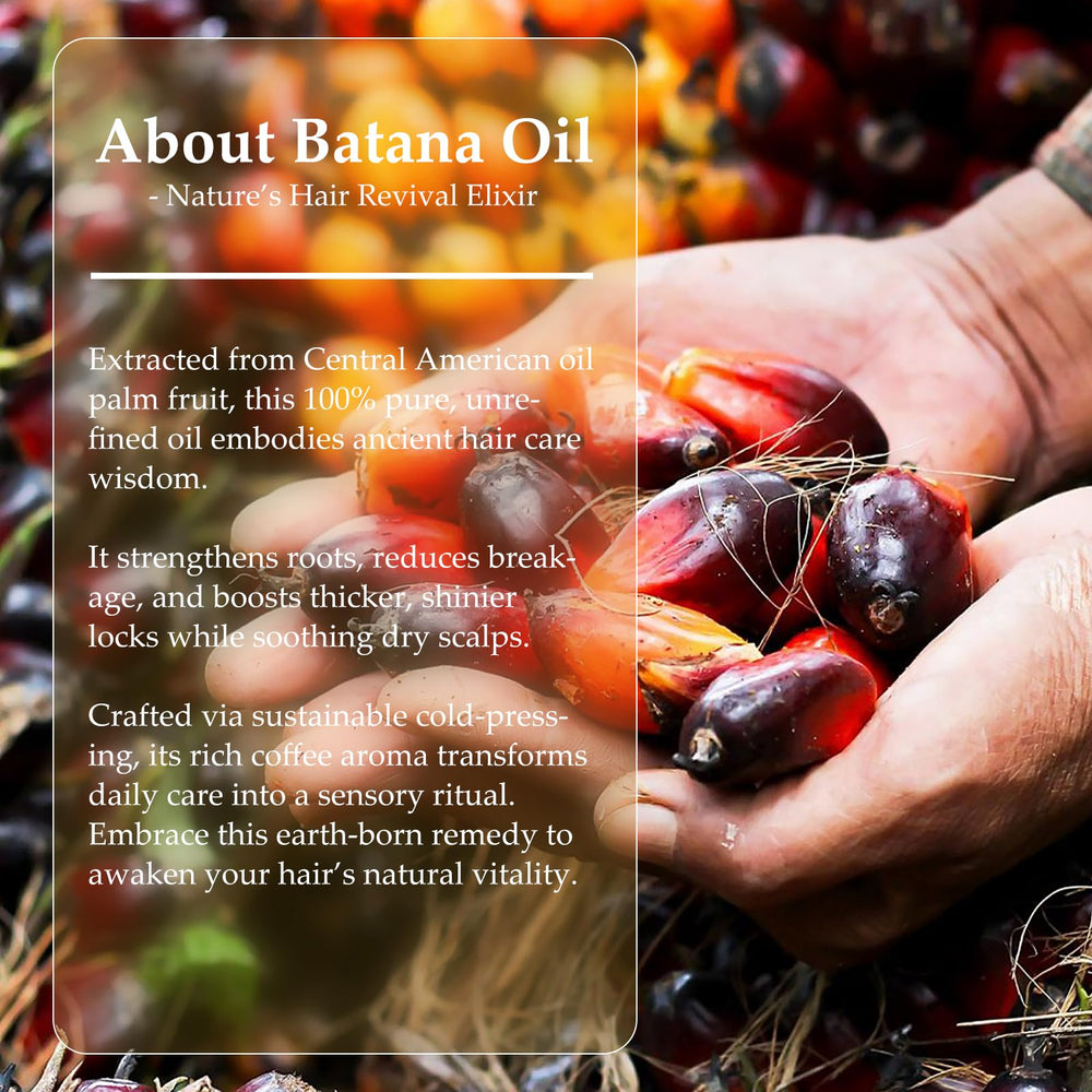 OLCG Batana oil paste massaged into scalp to support follicles