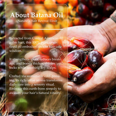 OLCG Batana oil paste massaged into scalp to support follicles