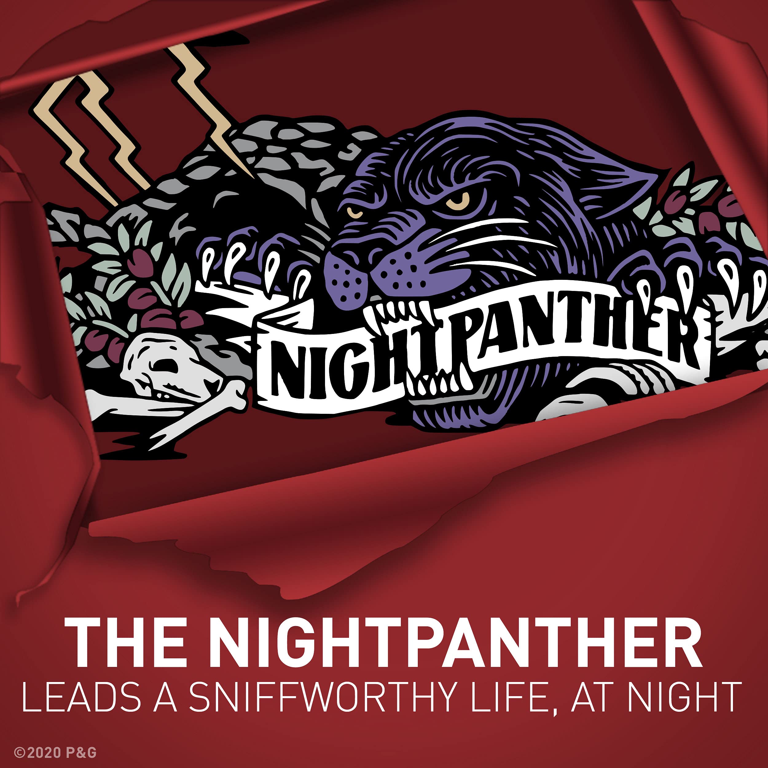 NightPanther display ad shows 48-hour protection in bold packaging