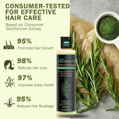 Shampoo applied to scalp with Organic Rosemary Hair Growth Shampoo for nourishment