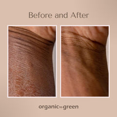 Organic To Green Rainforest Sugar Coconut Oil Scrub forest-inspired scene suggests refreshing self-care