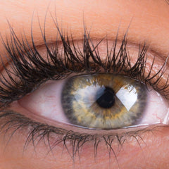 Organys Lash & Brow Serum green tea botanicals detail on packaging.
