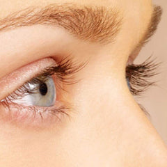 Organys Lash & Brow Serum lush lashes close-up promoting length and definition.