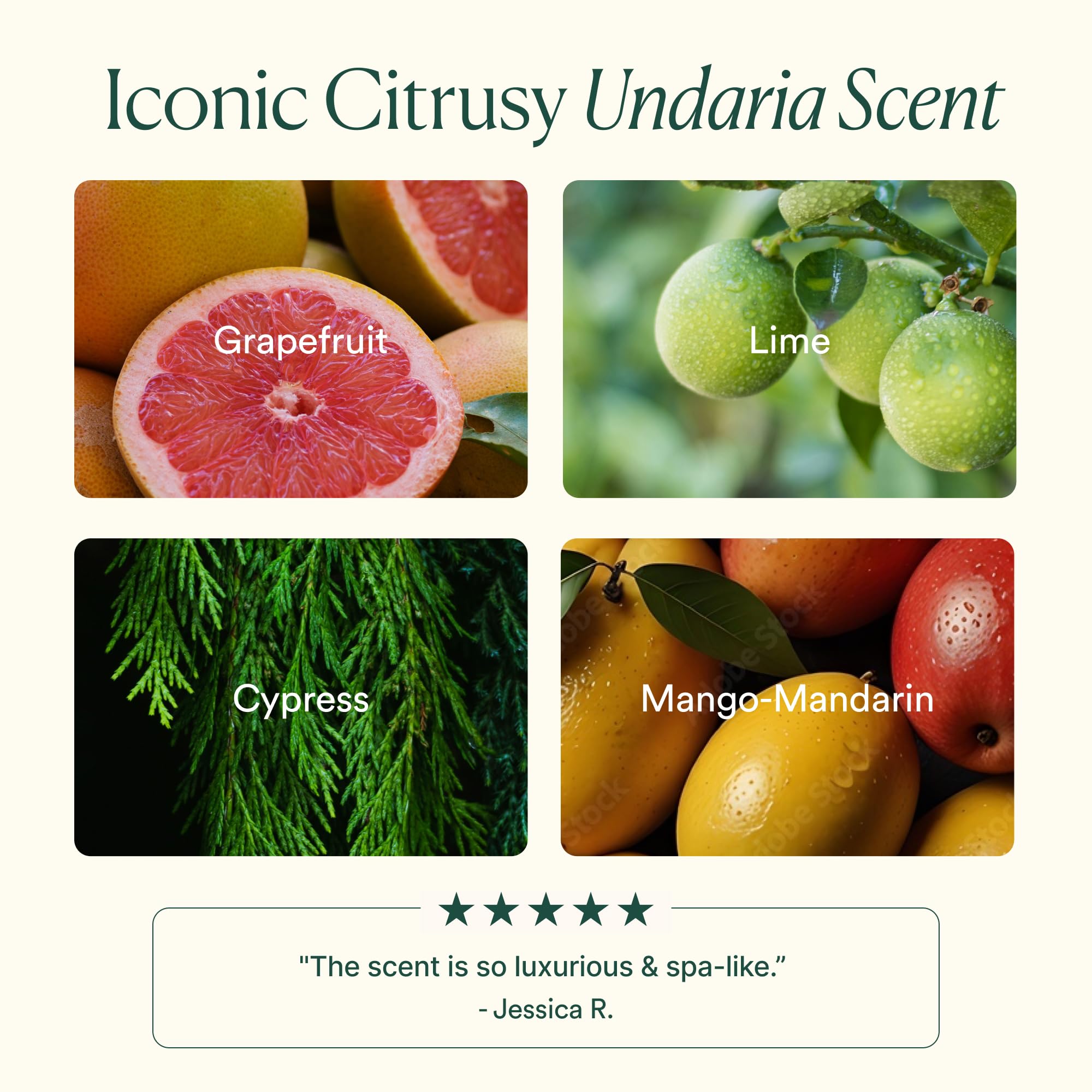Aloe and glycerin ingredients in OSEA Undaria Algae Body Wash