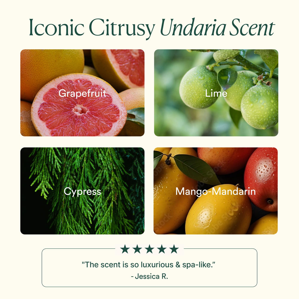 Aloe and glycerin ingredients in OSEA Undaria Algae Body Wash