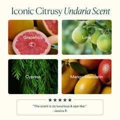 Aloe and glycerin ingredients in OSEA Undaria Algae Body Wash