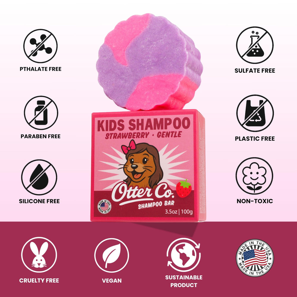 Otter Co zero-waste packaging box highlights recyclable, travel-ready design
