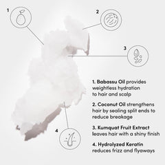 OUAI coconut and babassu oil illustration conveying nourishing hydration