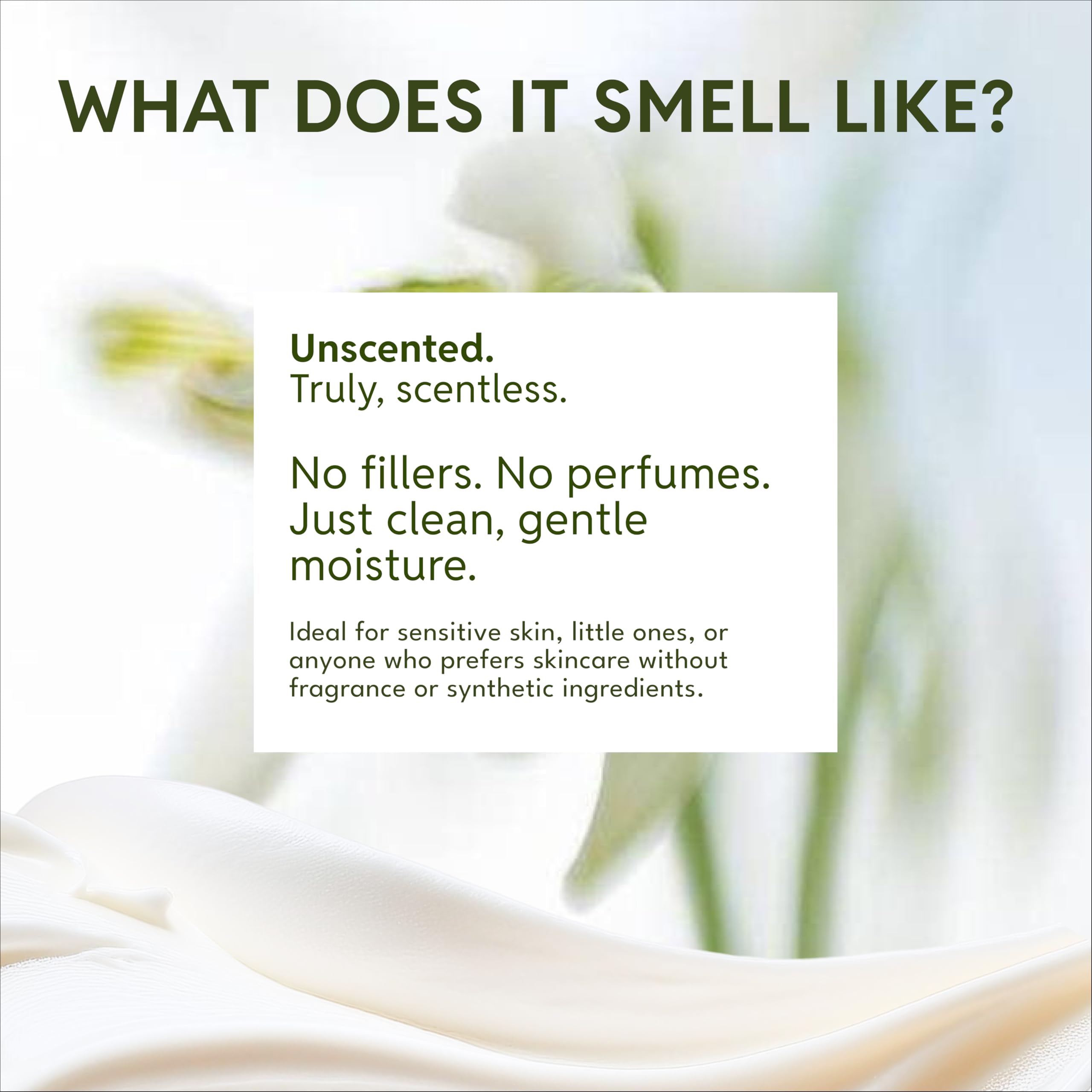 Ingredients like jojoba and shea provide balanced hydration for Our Earth Beauty cream