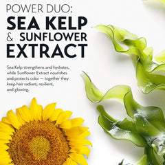 Free from sulfates and harsh chemicals, a gentler care option.
