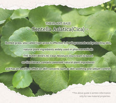 P'LAB Centella leaf water close-up emphasizes the key soothing ingredient