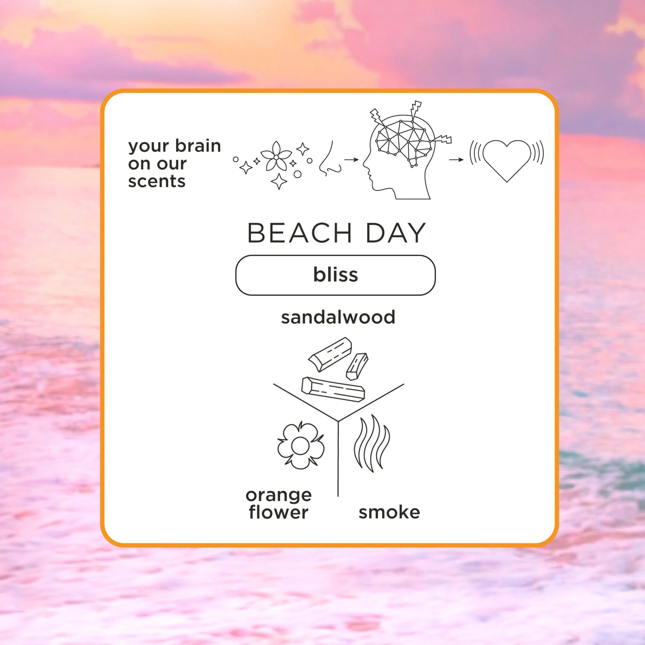 Pacifica Montana Sky notes closeup, highlighting fresh, serene fragrance profile.