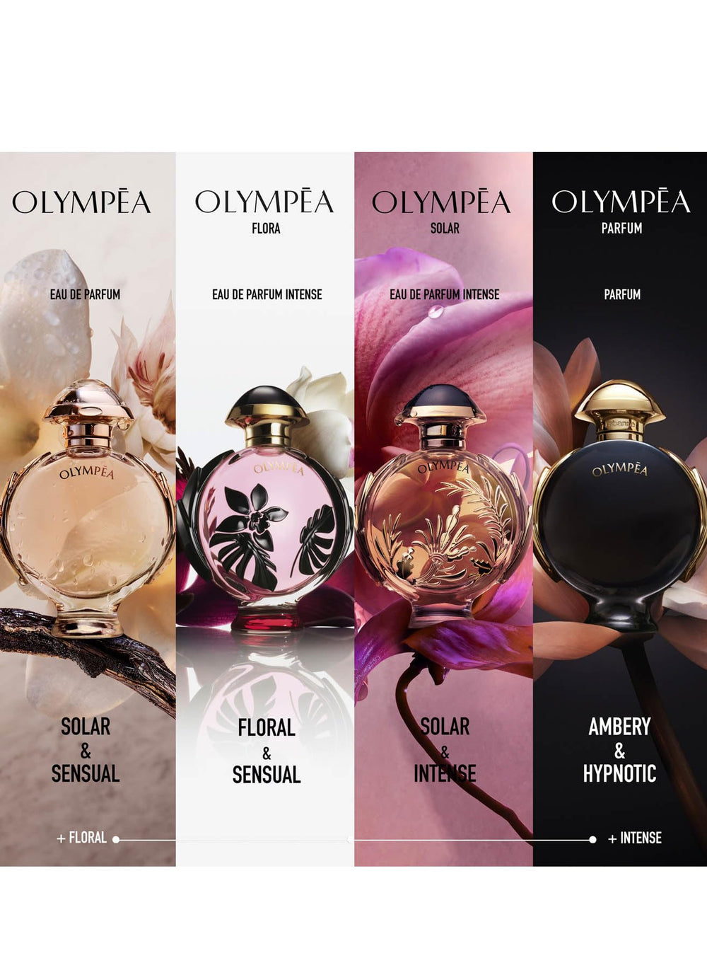 Paco Rabanne Olympéa amber-wood base, provides warmth and a lasting trail.