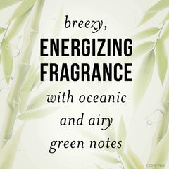 Fragrance note and refreshing scent image for Pantene Bamboo Shampoo