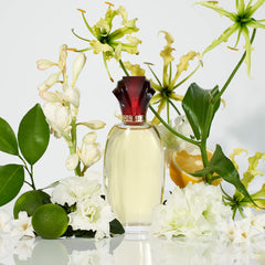 Paul Sebastian Design for Women ambience ideal for dating nights and special evenings.