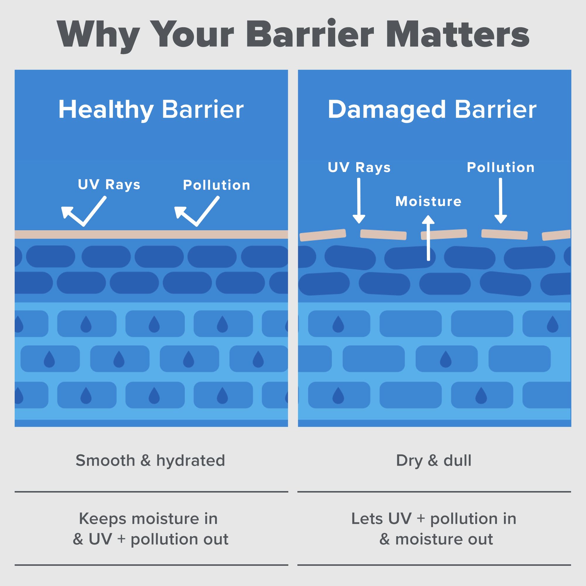 Paula's Choice RESIST Barrier Repair packaging box.