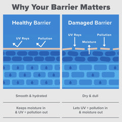 Paula's Choice RESIST Barrier Repair packaging box.