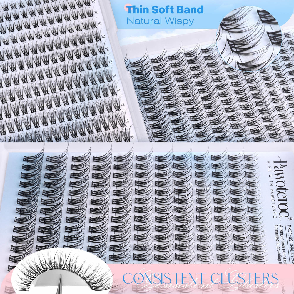 Pawotence 180-piece kit offers budget-friendly DIY lash upgrade.