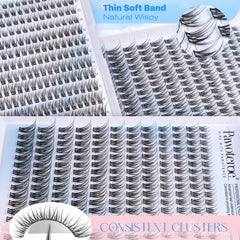 Pawotence 180-piece kit offers budget-friendly DIY lash upgrade.