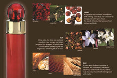 Gift set display showing the trio, suggesting a thoughtful present choice