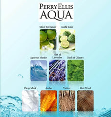 Perry Ellis Aqua for Men packaging display highlights premium gift-ready presentation