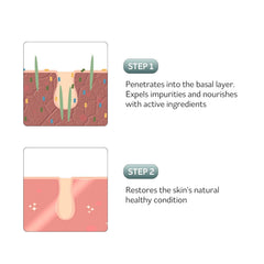 PESTLO Rejurecipe hydro-gf3 and spicule promote renewal