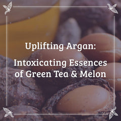 Pharmacopia Hotel Argan Oil Conditioner texture reveals creamy detangling slip.