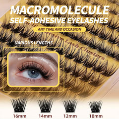 PHIXBEAR lashes range 10–16 mm for versatile looks