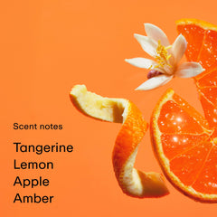 PHLUR Tangerine Boy packaging box emphasizes compact travel-friendly design.