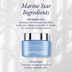 Phytomer Expert Youth Wrinkle Cream application demonstration on hand