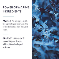 Phytomer Pionnière XMF Reset Eye Cream eye contour swirl demonstrates even blend.