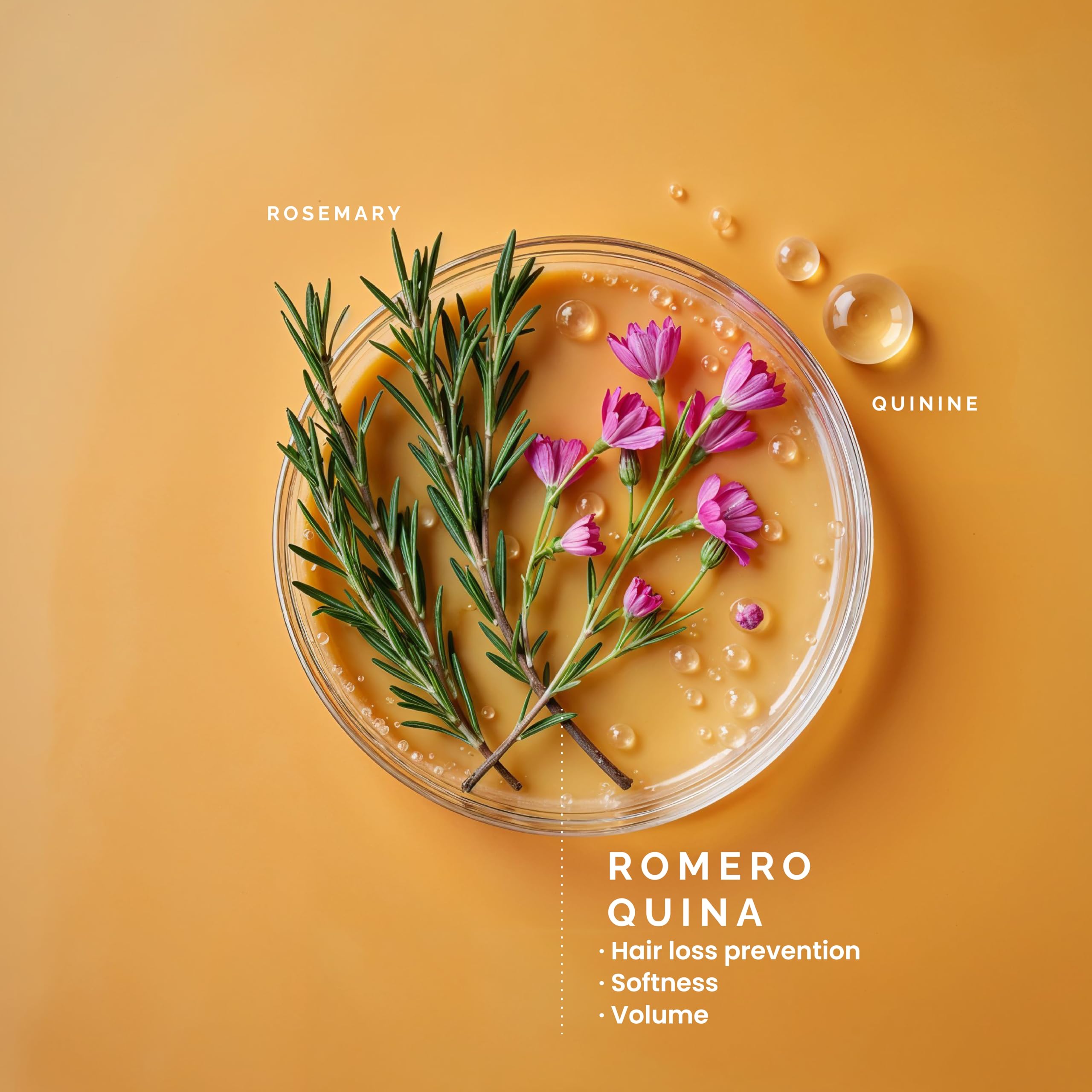 Pili Natural botanical ingredients illustration showing natural nourishment.