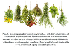 Fragrance note visuals emphasizing biscotti-scent profile.
