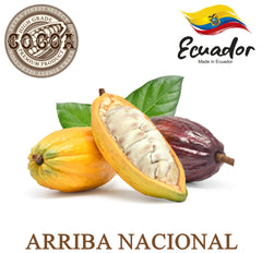Plant Guru cocoa butter for baking and snacks underlines versatile kitchen uses.