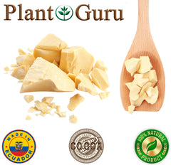 Plant Guru Cocoa Butter ideal for lip balm recipes gives nourishing flavored finishes.