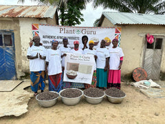 Plant Guru Ghana-sourced shea butter highlighting natural heritage.
