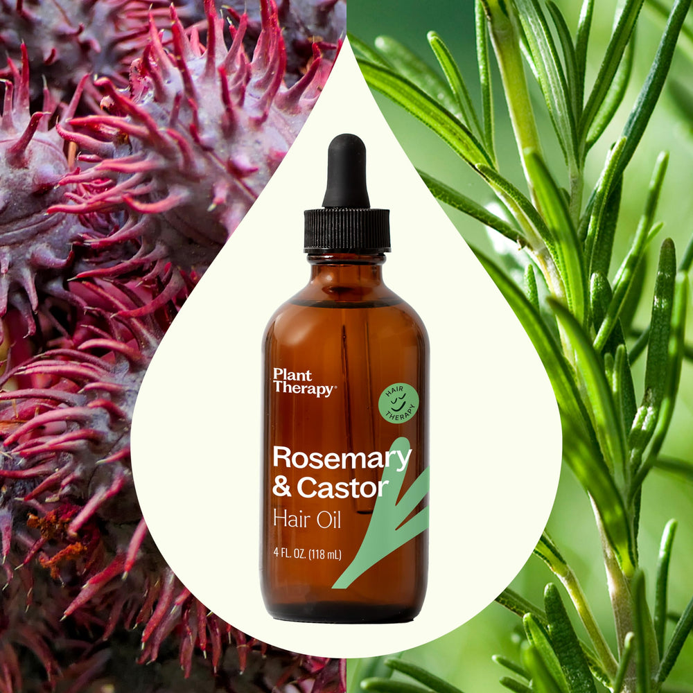 Plant Therapy hair treatment oil being poured onto scalp for nourishment.