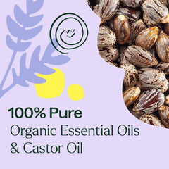 Plant Therapy lavender essential oil scent evokes relaxing ritual.